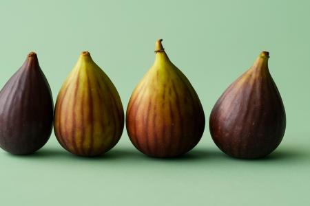 Was heilt Leber und Knochen und senkt den Cholesterinspiegel?